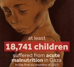 visualize palestine