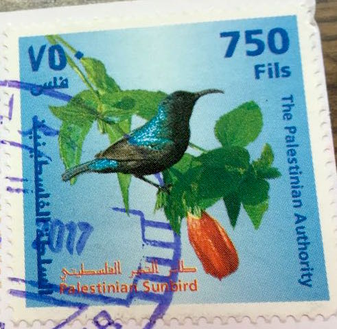 Gaza stamps - palestinian sunbird