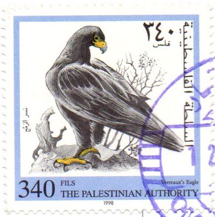 Gaza stamps - eagle