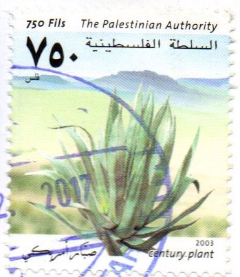 Gaza stamps - cactus